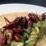 Casa Jacaranda: descubre México cocinando 5